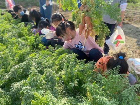 地圖魚|食農遊學地圖前進新市國小 台南童體驗種毛豆